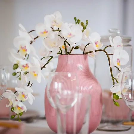 New & Luxurious Superior By Arctic Homes * Rovaniemi